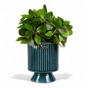 dark teal ribbed pedestal ceramic planter – elegant indoor flower pot