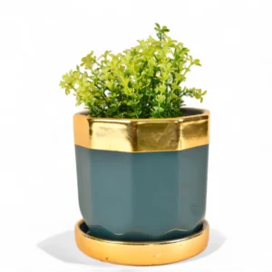 Emerald Gold Luxe Planter