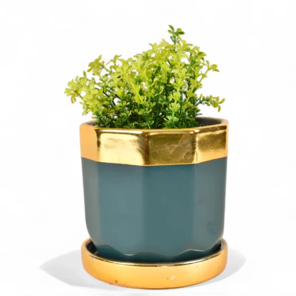 Emerald Gold Luxe Planter