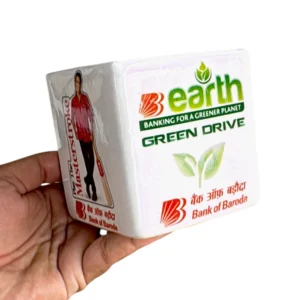 Customized Square Ceramic Planter With Bank of Baroda’s “Earth Green Drive” logo printing