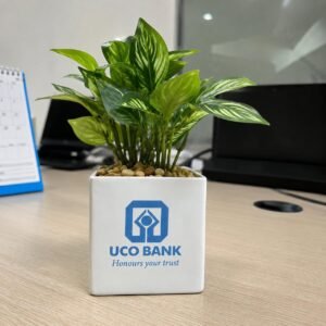 Custom Logo Ceramic Planter – UCO Bank Branded Corporate Gift Pot