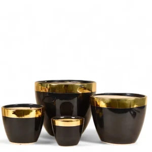 Black Luxe Gold Rim Planter Set
