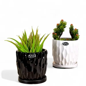 Textured Gloss Ceramic Planter Set (Black & White)