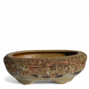 EarthBrew Textured Bonsai Planter – Rustic Lava Finish