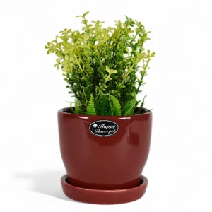 Crimson Gloss Ceramic Planter – Happy Flower Pot