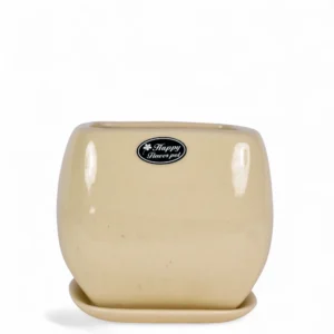 Ivory Gloss Ceramic Planter – Happy Flower Pot