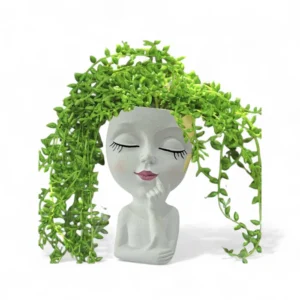 Ceramic Art Grace Face Planter