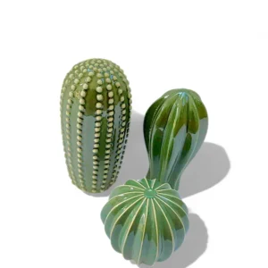 Ceramic Cactus Décor Set – Desert Green Trio