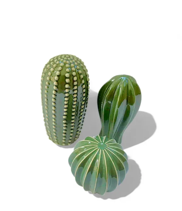 Ceramic Cactus Décor Set – Desert Green Trio