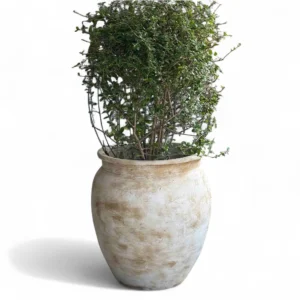 Large Rustic Ceramic Planter – Vintage White
