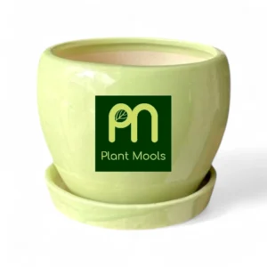 Custom Logo Ceramic Planter with Saucer – Branded Plant Mools Pot