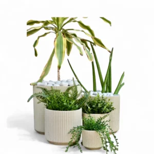 Minimalist Ribbed Ceramic Planter Set