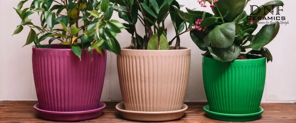 Terracotta Planters