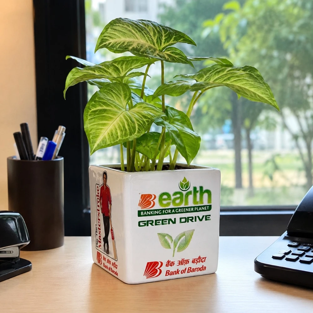 Custom Logo Square Ceramic Planter – Corporate Gift