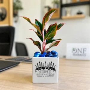Happy Birthday Printed Ceramic Planter with Plant – Unique Green Gift