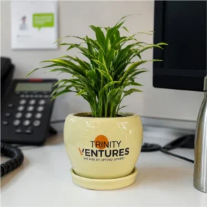 Custom Logo Printed Ceramic Planter with Saucer – Branded Corporate Gifts
