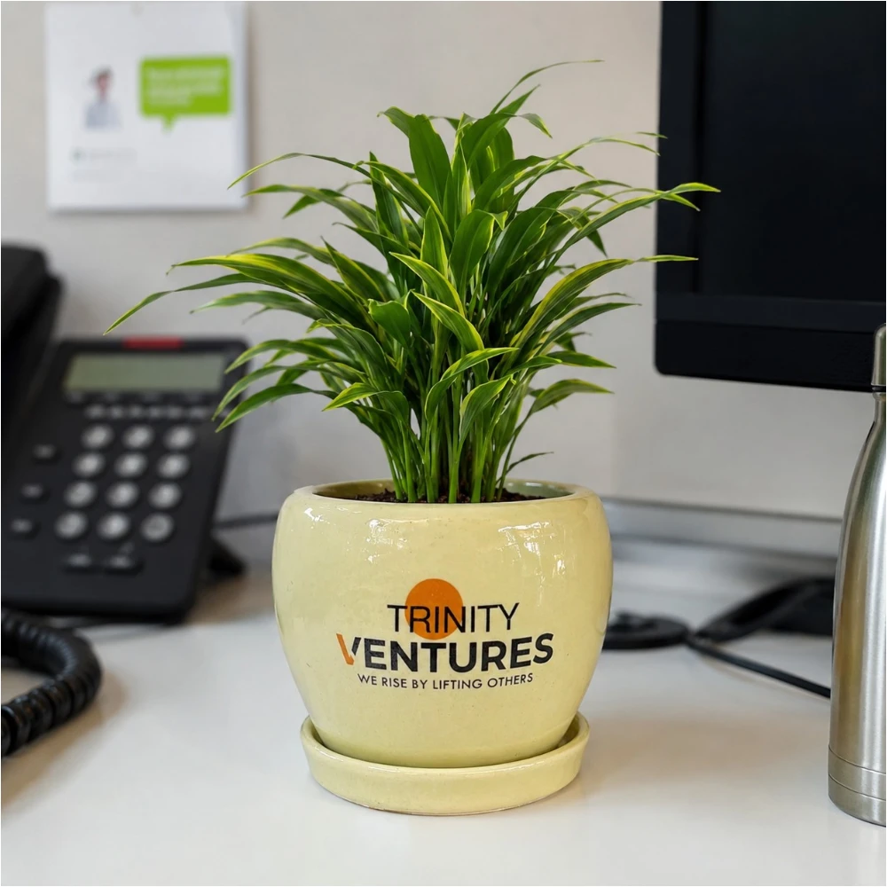 Custom Logo Printed Ceramic Planter with Saucer – Branded Corporate Gifts