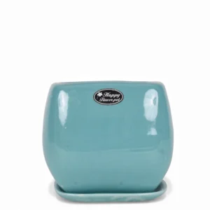 'Aqua Glossy Ceramic Square Planter with Tray