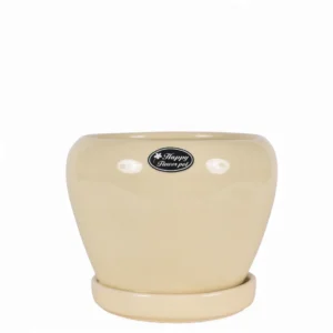 Add a soft, timeless touch to your indoor garden with our Ivory Glossy Round Ceramic Planter with Tray. Handcrafted with smooth curves and finished in a serene ivory glaze, this planter exudes calm sophistication while complementing any décor style — from modern to classic. Made from durable ceramic, it includes a fitted tray for proper drainage and easy maintenance, keeping your space clean and tidy. Ideal for succulents, herbs, or flowering plants, this piece combines functionality and elegance, making it a perfect addition to desks, windowsills, or coffee tables.