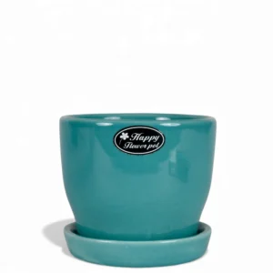 Teal Glossy Round Ceramic Planter with Tray