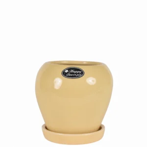 Beige Glossy Round Ceramic Planter with Tray