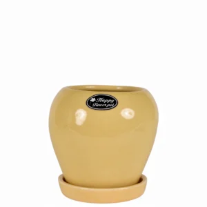 'Mustard Yellow Glossy Round Ceramic Planter with Tray