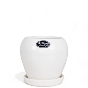 Classic White Glossy Round Ceramic Planter with Tray