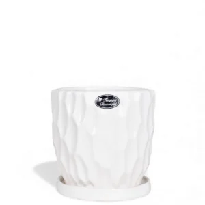White Textured Ceramic Planter with Tray