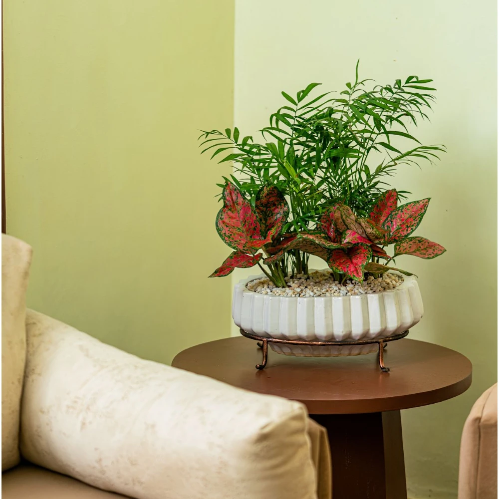 White Fluted Ceramic Planter with Metal Stand