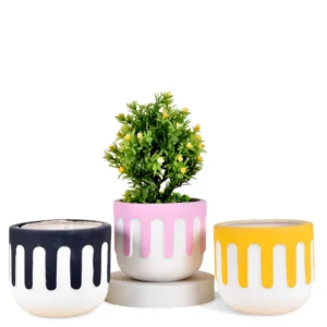 Color Drip Ceramic Planter Collection