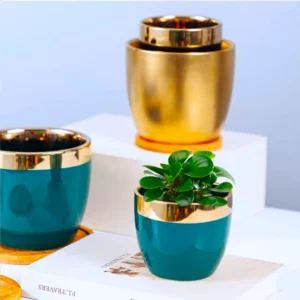 Teal & Gold Premium Planter Collection