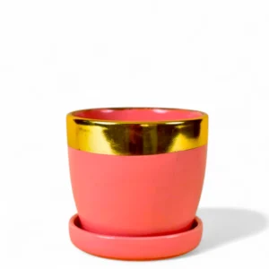 Blush Pink Gold-Rim Ceramic Planter