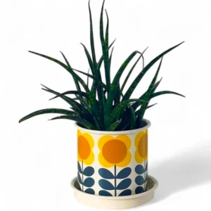 Retro Bloom Ceramic Planter with Tray