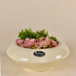 Happy Flower Ceramic Bowl Planter