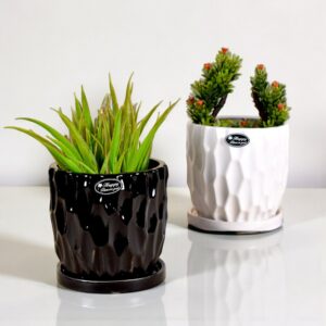 Ceramic Pots and Planters