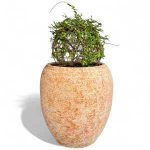 Textured Terracotta Finish Ceramic Planter