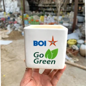 Bank of India Square Pot for Desk & Gifting