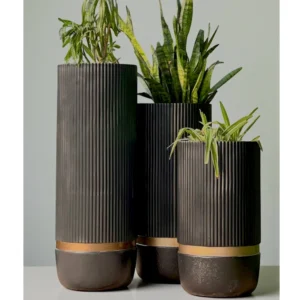 Black Ribbed Tall Planter Set with Gold Base