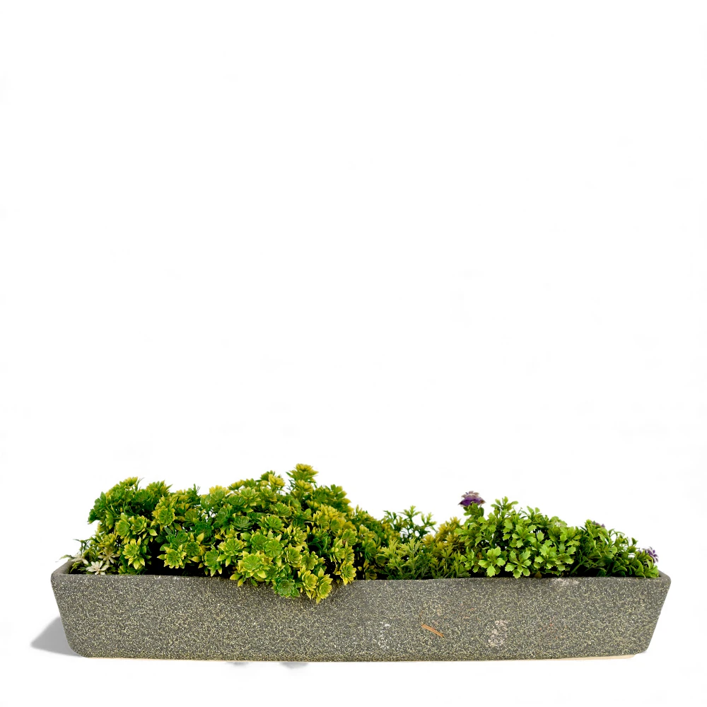 Rustic Rectangular Bonsai Planter