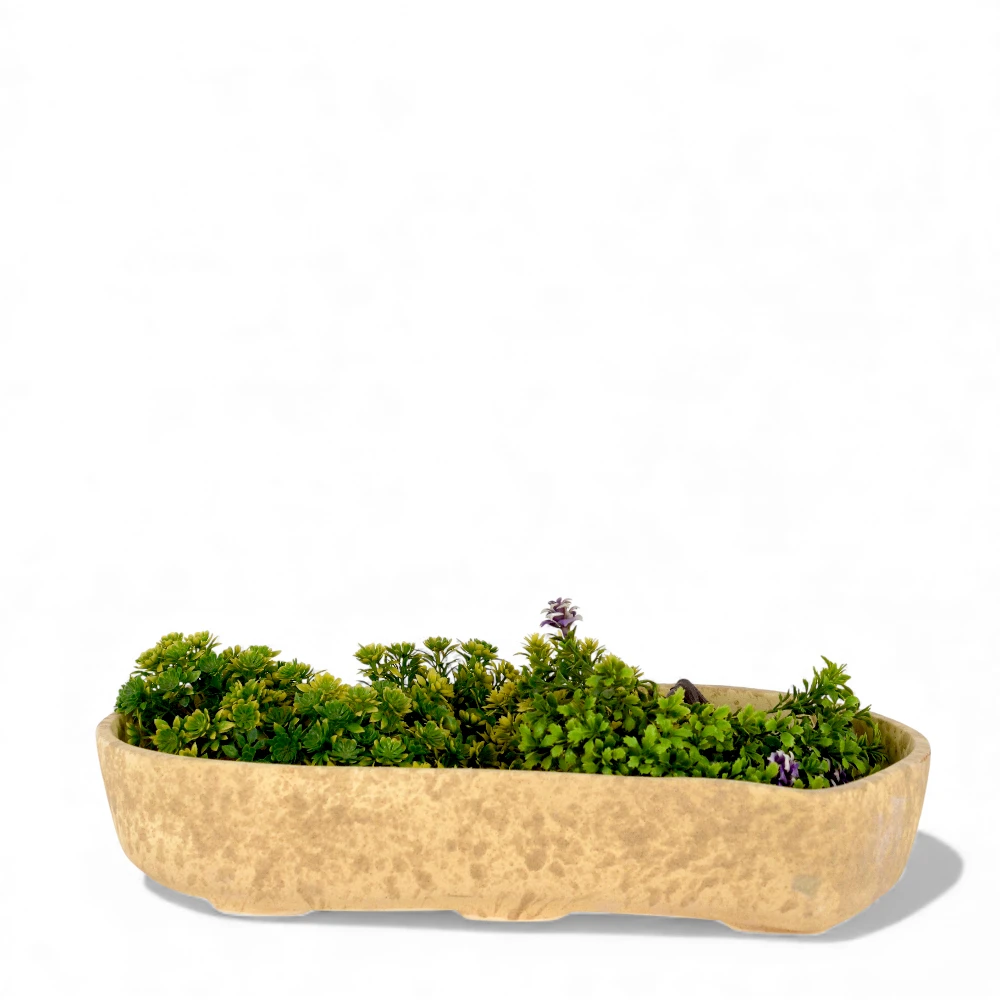 Sandstone Bonsai Landscape Planter