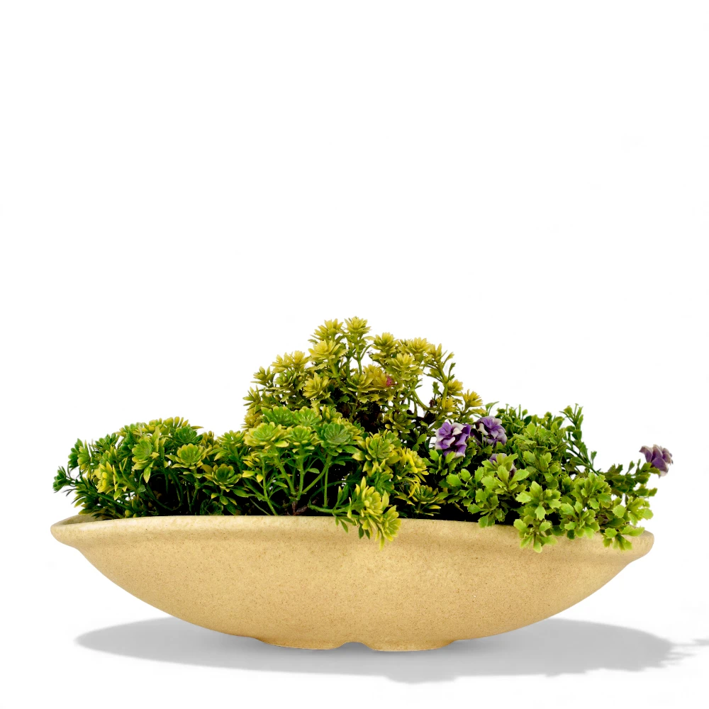 Sahara Curve Bonsai Tray