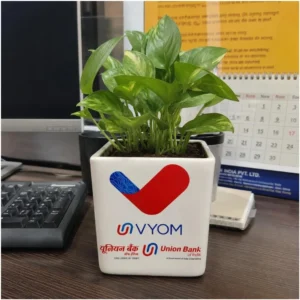 Custom Corporate Logo Pot for Desk & Gifting