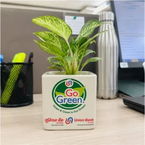 Go Green Ceramic Planter – Union Bank Promotional Square Pot