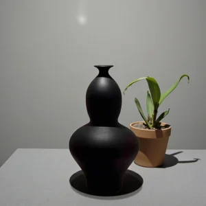 Contemporary Dual Curve Sculpture Vase