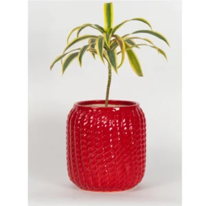 Ruby Textured Ceramic Planter