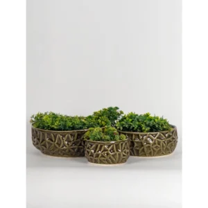 Olive Starburst Ceramic Bowl Planter Set