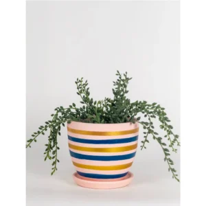 Blush Stripe Designer Ceramic Planter