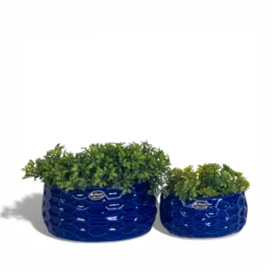 Cobalt Hive Ceramic Planter