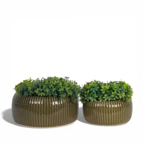 Olive Ribbed Bowl Planter