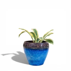 Midnight Tide Speckled Ceramic Planter
